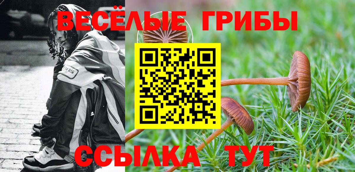 Псилоцибиновые грибы Cubensis Егорьевск