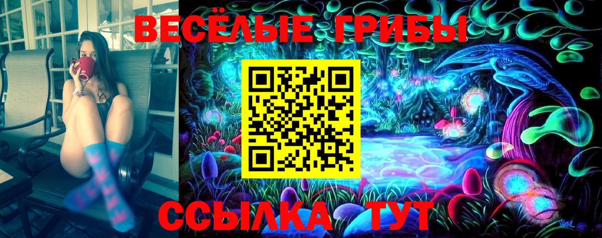 Егорьевск  Псилоцибиновые грибы Psilocybe  Вход с VPN  Псилоцибиновые грибы Magic Shrooms 